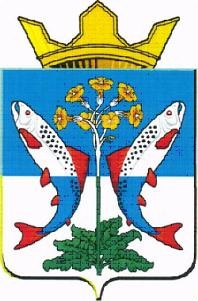 Герб муниципального образования «Шалинский район»