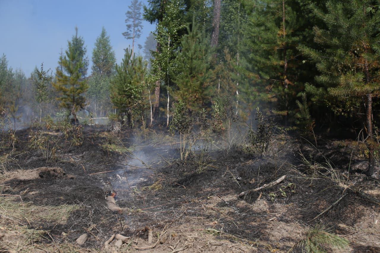 Карта горящих лесов свердловской области